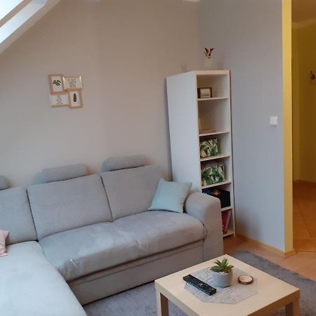 Apartament Kaktus Mrągowo Exteriör bild